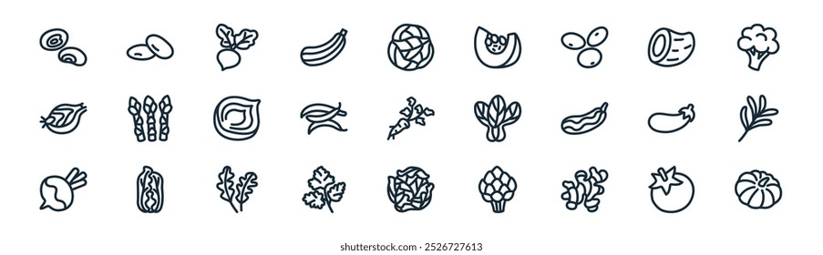 linear vegetable icon pack. vector thin line tomato, beans, beetroot, sweet potato, green beans, rosemary, cabbage, pumpkin icons suitable for apps and websites ui designs
