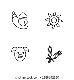 Linear Vegetable, Pig, Sunrise, Cereal Vector Illustration Of 4 outline Icons. Editable Pack Of Vegetable, Pig, Sunrise, Cereal