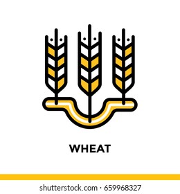Linear WHEAT icon. Vector elements suitable for website and presentation 