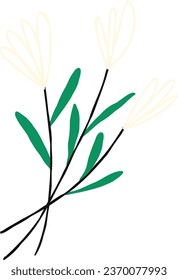 Linear white spring flower. hand drawn illustration in modern doodle style