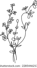 Linear wildflowers bouquet. Summer meadow line art wildflowers, herbs and stems. 