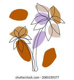 Lineart botanical plants and leaf and flower. Lineart flower vector