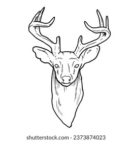 Lineart or contour drawing of a deer head with antlers.