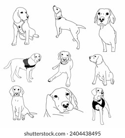 Lineart drawn cute dogs doodles set. Vector illustration on white background.