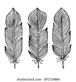 Line-art feather. Brush set. Hand drawn feathers. Isolated on white background. Coloring book.
Vector illustration