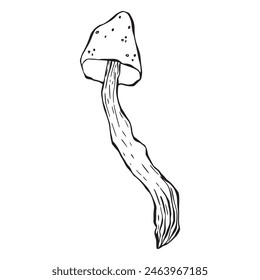 lineart magic poisonous mushroom element. Tattoo fungus design, trendy romance symbol. Witch amanita mushrooms for Halloween. Vector sketch toadstool illustration