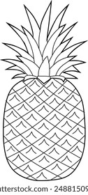 lineart pineapple vector illustration for coloring book on white background