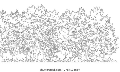 Lineart sketch vector illustration of the dense woodland forest trees thicket architecture drawing with isolated monochrome black white nature landscape.