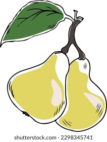 Lineart style vector two yellow pears with leaf black outline on white background isolated