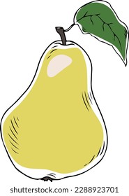 Lineart style vector yellow pear with leaf black outline on white background isolated