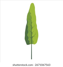 Una Ilustración vectorial de lineart con un pino verde con exuberantes agujas, perfecta para fondos de naturaleza de verano y diseños de arte forestal.