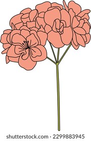 Flor de malva en la lina. Hollyhock. Vector.