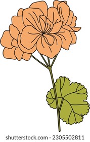 Linde Malvenblume. Hollyhock. Vektorgrafik.