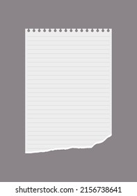 Lined notebook paper with torn edge, vector illustration isolated on gray background. Realistic notebook piece or memo with empty space for text.
