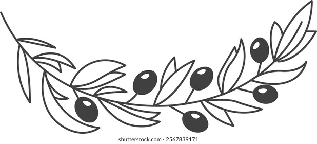 Lined Olive Branch Vector Illustration