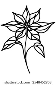 Lined Poinsettia flower vector illustration 