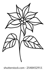 Lined Poinsettia flower vector illustration 
