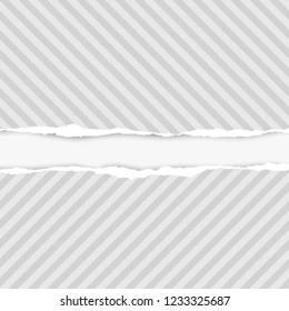 Lined ripped horizontal grey paper for text or message are on white background. Vector illustration