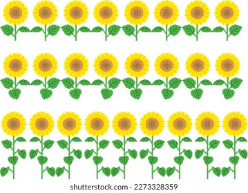 Conjunto de ilustraciones de líneas de girasol alineado