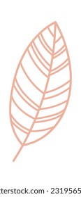 Lined Tropical Leaf Vector Illustration