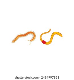 Lined Worm Illustration White Background 
