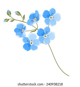 Linen flower isolated over white background. Vector illustration.