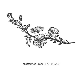 Linen flower sketch engraving vector illustration. T-shirt apparel print design. Scratch board imitation. Black and white hand drawn image.