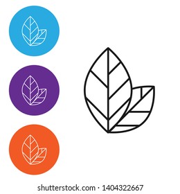 Liner illustration in four style Tea leaf icon. Tea theme