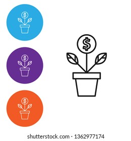 Liner illustration in four styles Dollar plant vector icon sign symbol. Money tree