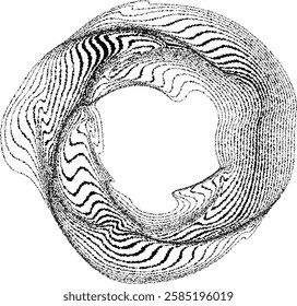 Lines in Circle Form .Optical illusion.  Vector Illustration . Op art. Circles form a ring.Rotating design element .Various circle lines forming round frame . Abstract Geometric line art .Rough edges.