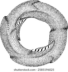 Lines in Circle Form .Optical illusion.  Vector Illustration . Op art. Circles form a ring.Rotating design element .Various circle lines forming round frame . Abstract Geometric line art .Rough edges.