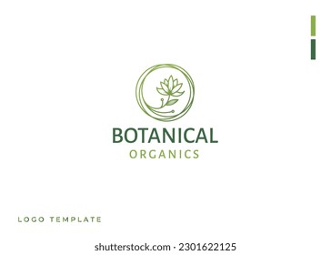 lines circle olive oil leaf logo design vector icon symbol illustration