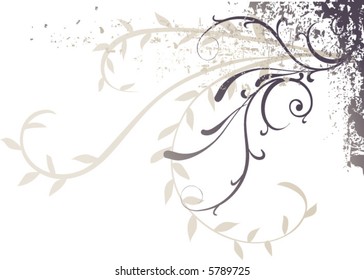 lines and graphics
