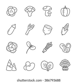 Lines icon set - vegetable