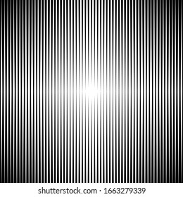 Lines pattern. Stripes seamless backdrop. Striped image. Linear background. Strokes ornament. Abstract wallpaper. Line shapes. Stripe forms. Digital paper, web design, textile print. Vector art