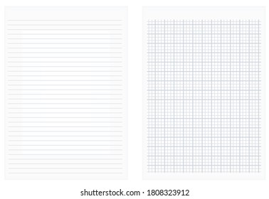 Lines and squares sheet paper. vector