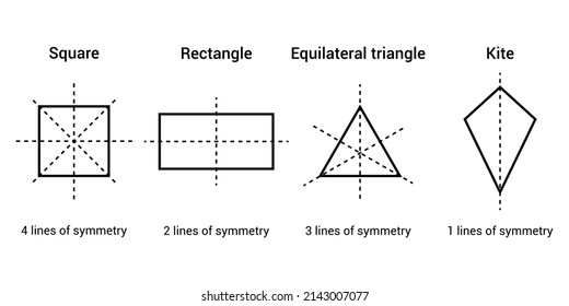 lines of symmetry in a square rectangle equilateral triangle and kite shape