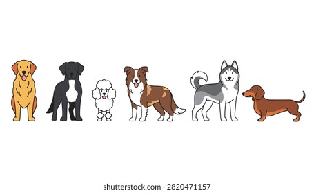 Lineup of various dog breeds including a golden retriever poodle husky and dachshund.