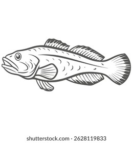 Lingcod Ophiodon Elongatus Line Art Illustration