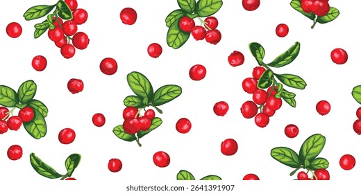 Lingonberries vector seamless pattern. Red lingonberry or cowberry graphic on white background. Lingonberry twig vector design for fabric, paper, wallpaper, cover, decoration, wrapping, other use.