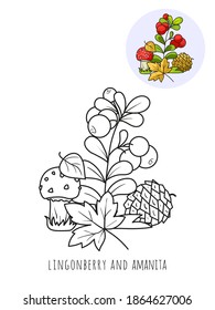 Lingonberry and Amanita mushroom, a picture for coloring with a color sample. Vector isolated on a white background.