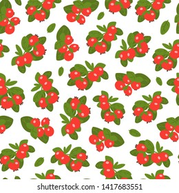 Lingonberry berries seamless pattern on white background. Wild berry with hand drawn style. Vector illustration.