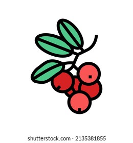 lingonberry berry color icon vector. lingonberry berry sign. isolated symbol illustration