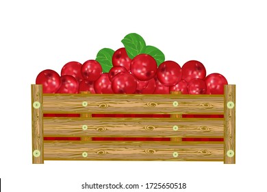 Lingonberry in box isolated on white background. Crate of juicy lingonberry. Eco farm, market, transportation. Bountiful harvest.For label, package, poster, banner, icon. Stock vector illustration