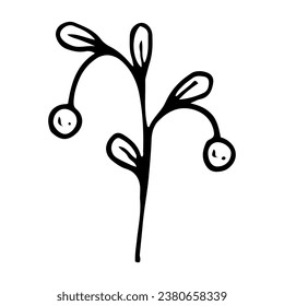 Lingonberry branch doodle. Picking wild berries in the forest. Hand drawn sketch.