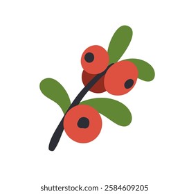 Lingonberry branch. Fresh berries and leaves. Organic natural forest fruits, cowberry. Cranberry, healthy vitamin food plant icon. Colored flat graphic vector illustration isolated on white background