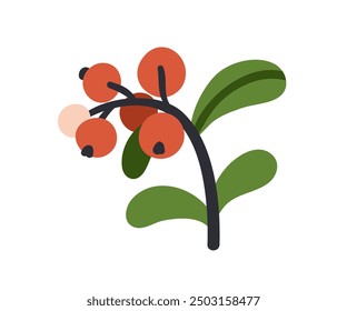 Lingonberry Zweig mit frischen reifen Beeren und Blättern. Biologische natürliche Waldfrucht, Nahrungspflanze mit Kuhbeeren. Preiselbeeren-Symbol. Flache grafische Vektorgrafik einzeln auf weißem Hintergrund