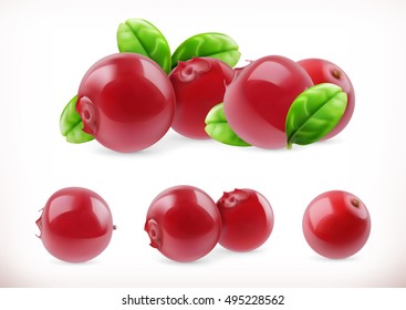 Lingonberry. Cowberry sweet fruit. Forest berry. 3d vector icons set. Realistic illustration