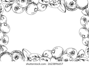 Lingonberry cranberry with green leaves, water dew drops, vector hand drawn in ink, ripe forest berry bearberry teaberry wintergreen. Isolated border corner frame. Dessert cafe menu, farmers market