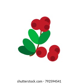 Lingonberry flat illustration